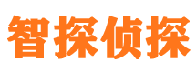 盐池市侦探调查公司